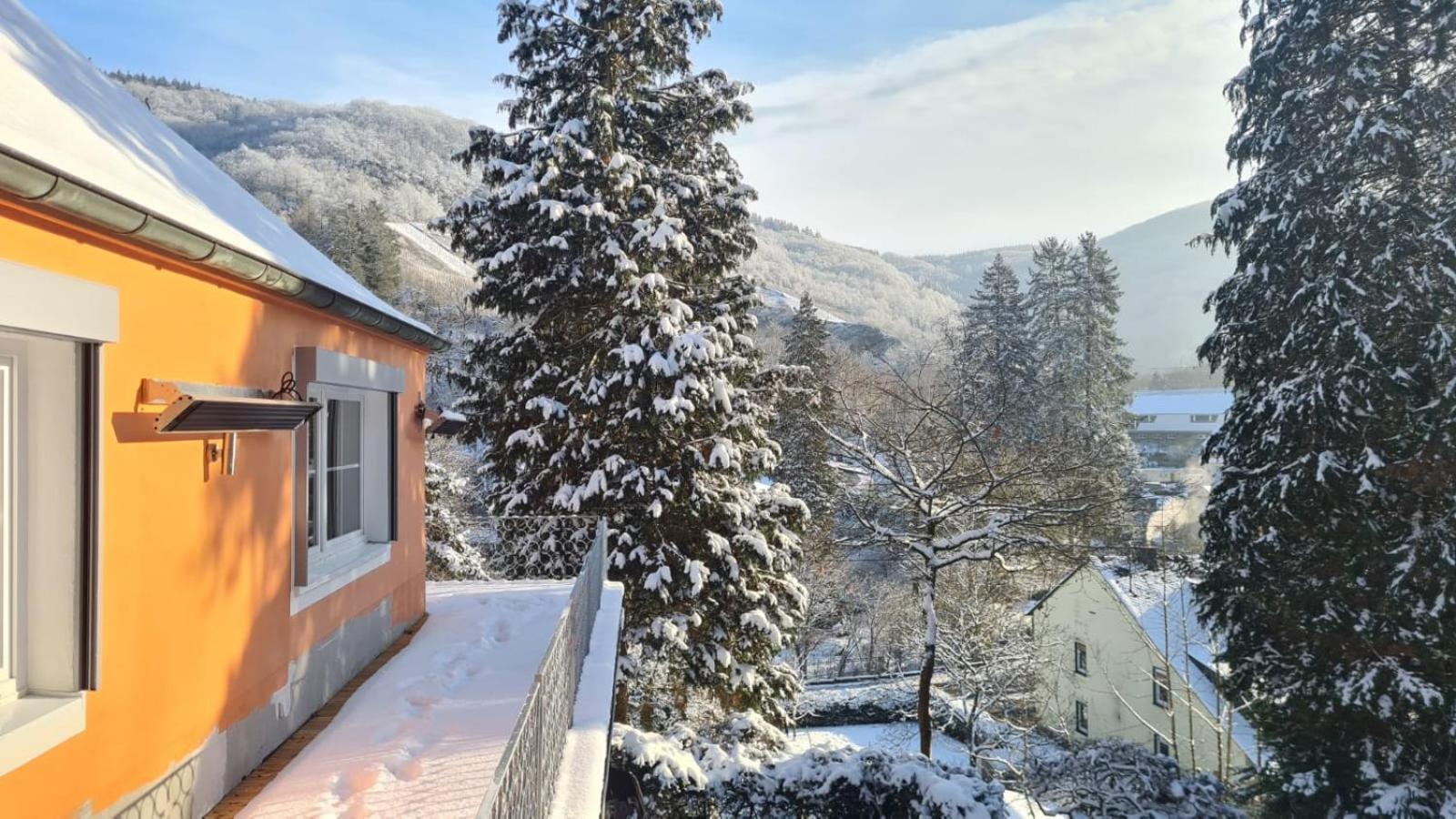 Waldhaus Zum Gechillten Hirsch In Der Natur, Bei Der Moseltherme トラーベン・トラールバッハ エクステリア 写真