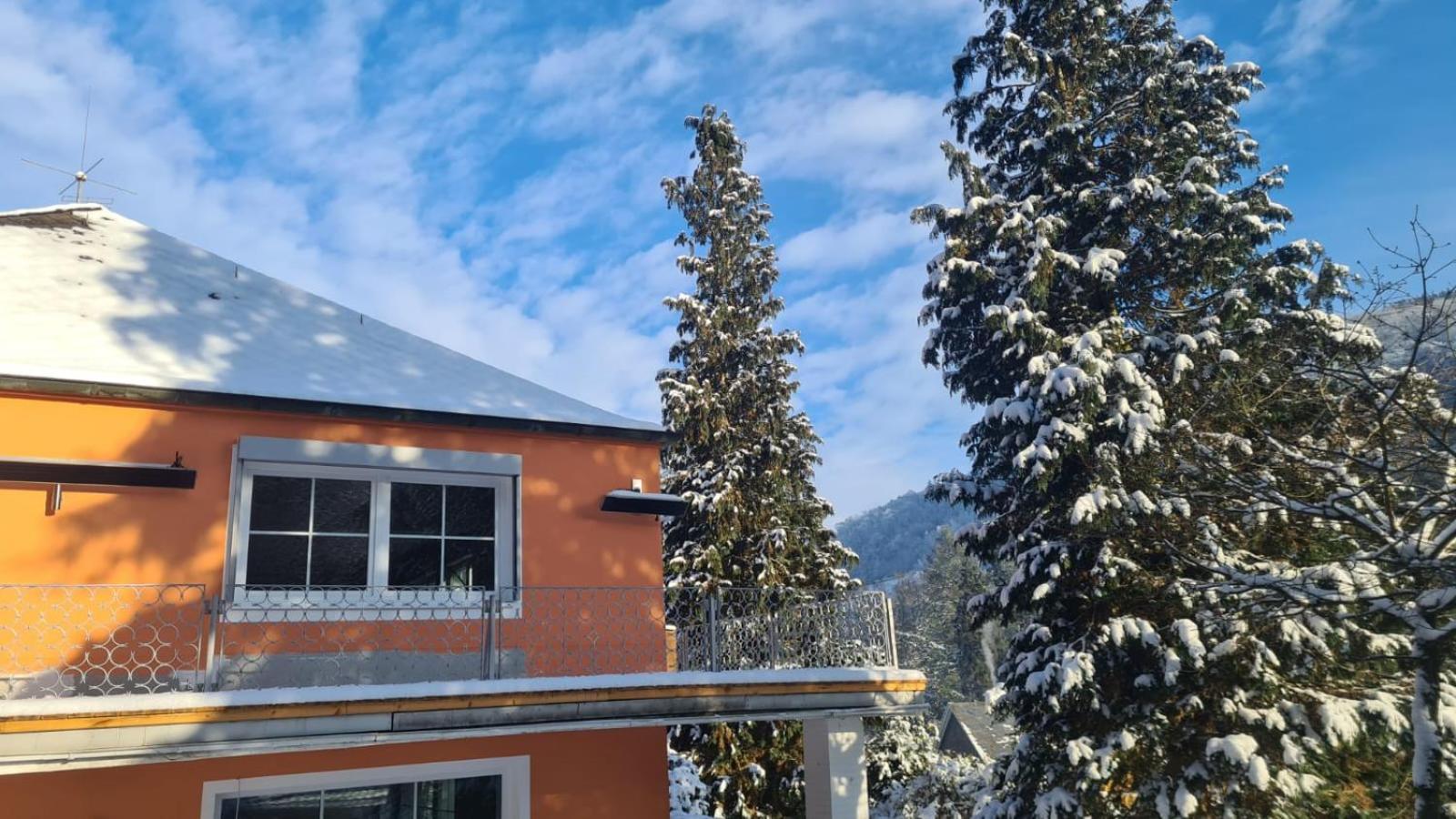 Waldhaus Zum Gechillten Hirsch In Der Natur, Bei Der Moseltherme トラーベン・トラールバッハ エクステリア 写真