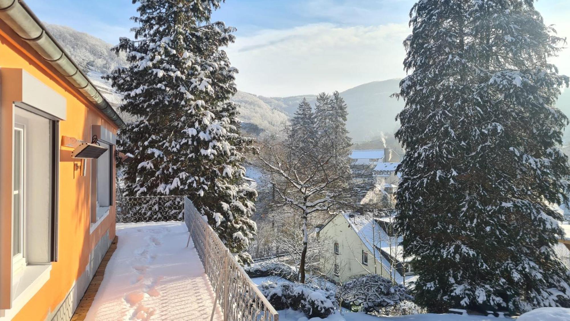Waldhaus Zum Gechillten Hirsch In Der Natur, Bei Der Moseltherme トラーベン・トラールバッハ エクステリア 写真