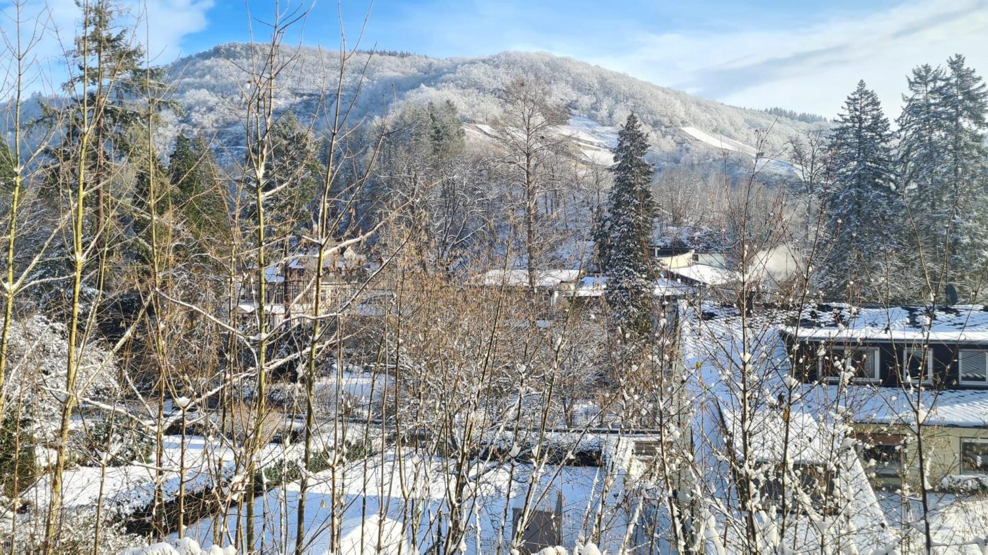 Waldhaus Zum Gechillten Hirsch In Der Natur, Bei Der Moseltherme トラーベン・トラールバッハ エクステリア 写真